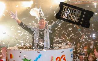 Prinsenbal - Testen voor toegang